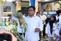 Wamen Viva Yoga menghadiri kegiatan festival panen nanas (Romi/Kliknusa).