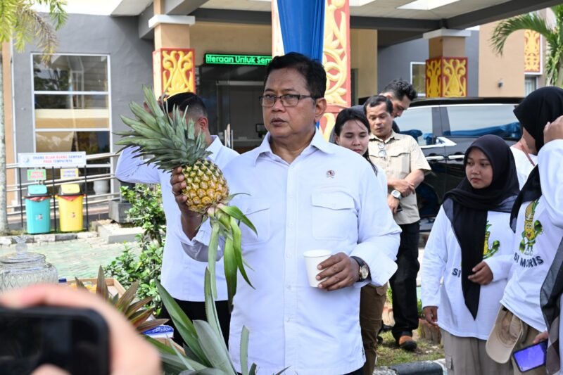 Wamen Viva Yoga menghadiri kegiatan festival panen nanas (Romi/Kliknusa).